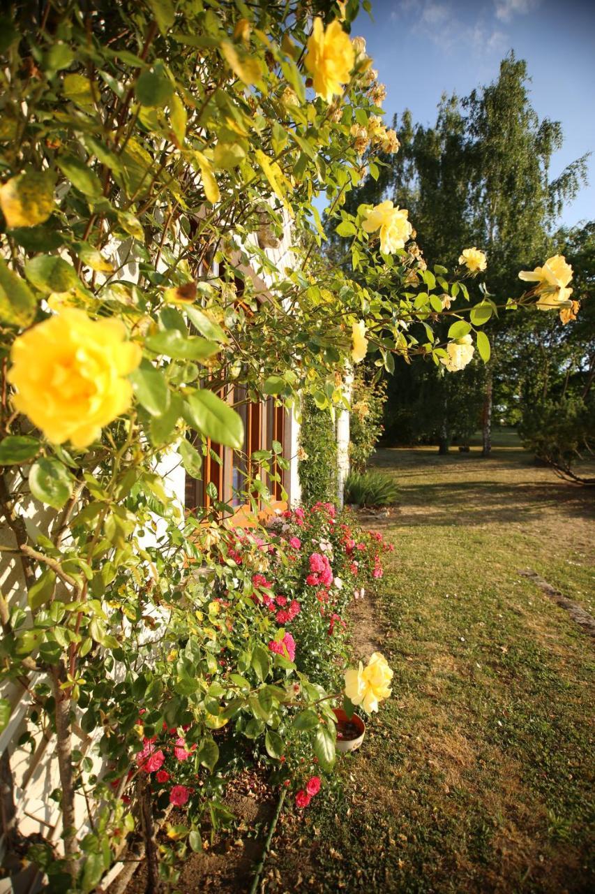 Les Reves De Flamboin Bed and Breakfast Gouaix Buitenkant foto
