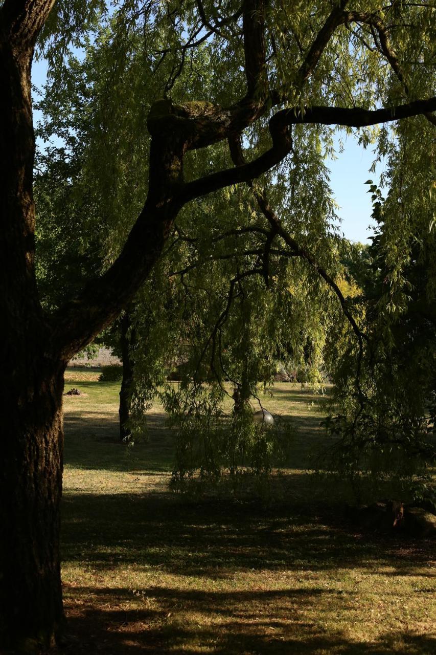 Les Reves De Flamboin Bed and Breakfast Gouaix Buitenkant foto